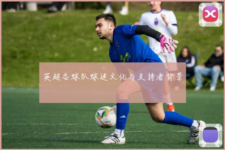 英超各球队球迷文化与支持者背景