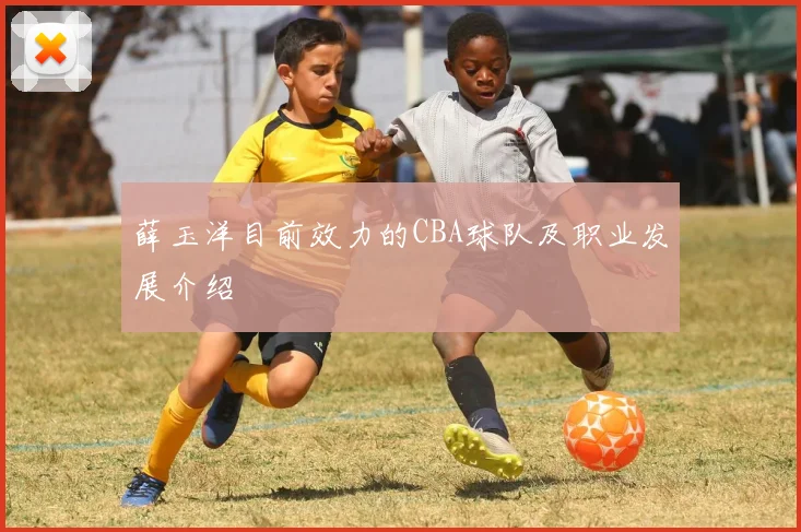 薛玉洋目前效力的CBA球队及职业发展介绍